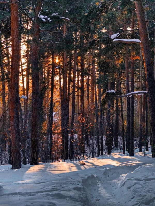 ������ ��������� �������. �������� ������� RU VK OK Inst