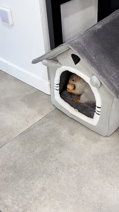 ������ ����. � ���� ������� �������� ���� ������� �����