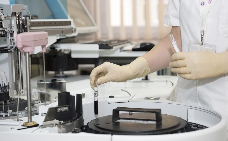 ����������� ����������� ������ ������������ � ���� �������� � ����������� �������