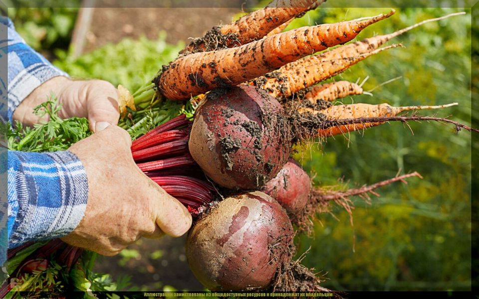 ������� ������ � �������� ������ � �������: ��� ���������� ���������� �����������