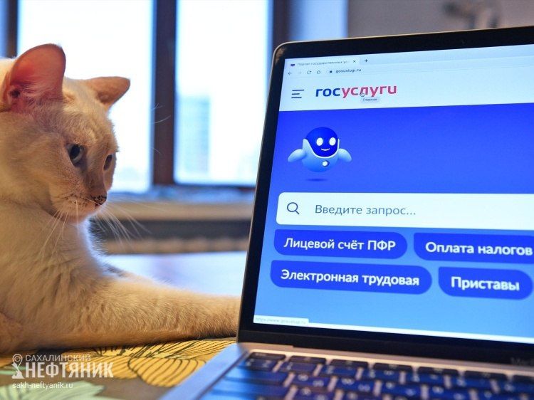 � ������ � 2026 ���� ��������� �������� ��������� �������: ��� ������ �������� ���������