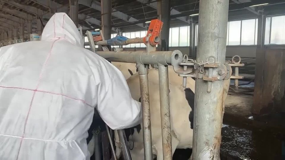 ��������� ������ �������� ������������ �����