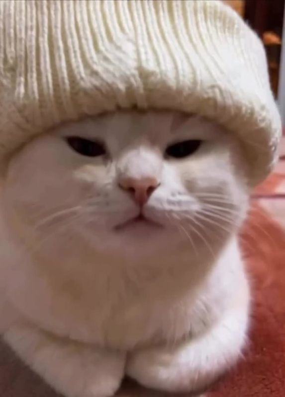 ������ ����. ��������� ���� ������ � ������������� �������� � ������������� ��������, ������� ���������� �������� 3 �������