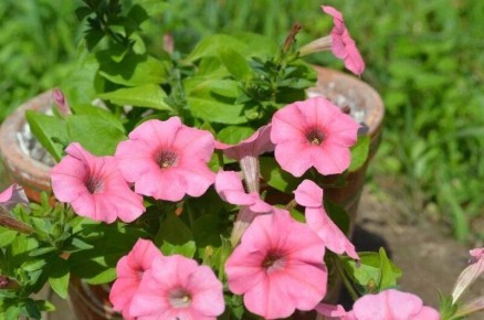 ��� ������� � ��������� ������� ������� �������� �� �������� � �������