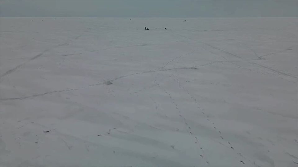 �������������� �� ��������� � ����������� ������ ������� ����� ����������� �� ���, �������� �� ������� ������������� ���������� ���