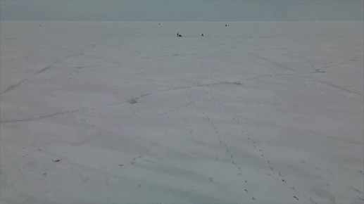 �������������� �� ��������� � ����������� ������ ������� ����� ����������� �� ���, �������� �� ������� ������������� ���������� ���