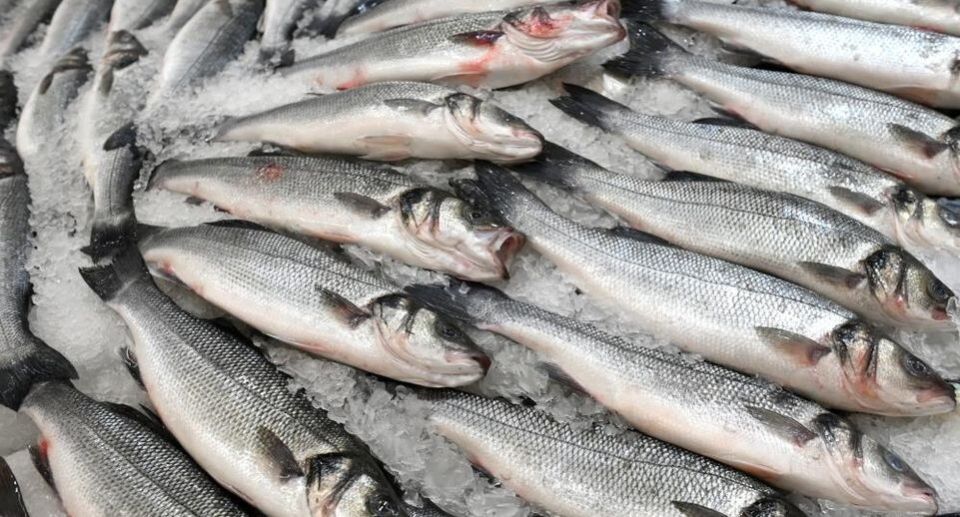 ��� �������� ����� ������� ���������� ����� ��� ������