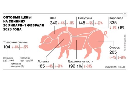 ���� �������: ������� � ���� ���������� ����� �� �����