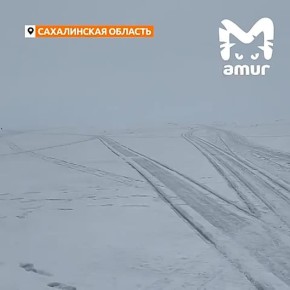 ������ � �������� ������ � ���� �� ��������