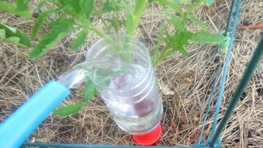 ��� ��������� ��������� ������� ������ �����