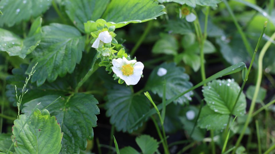 ��� �������� ���������� ����� �� ������� � ������� �������� ��������