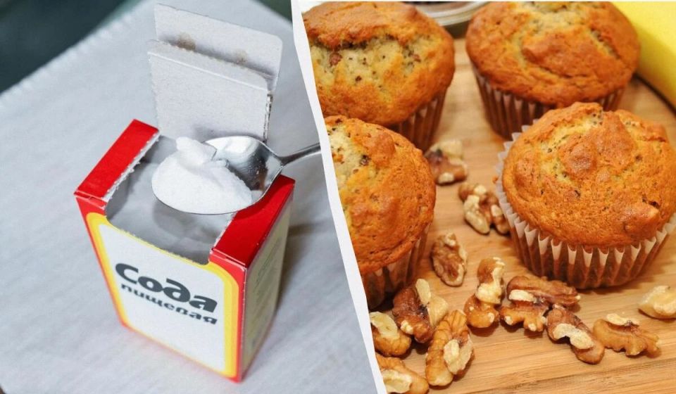 ��������� ���������� ������������: 5 ���������� ������� ��� �������