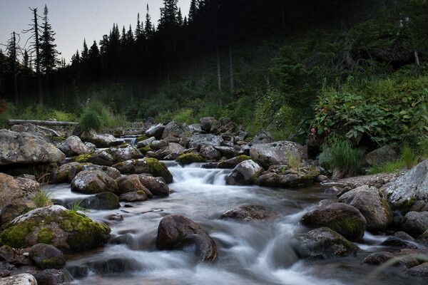 ������� ��������� ������ �������������, ����������� ������������ ������