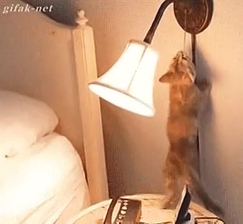 Тысячи сахалинцев на время останутся без света в среду