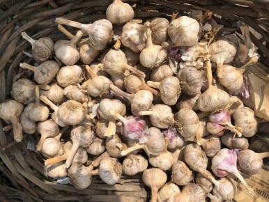 ��� ��������� ������ ������ �� ������ ���� � ������� �������