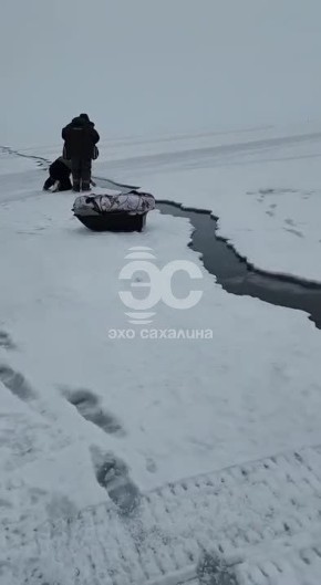 ������� ����� �� ���� � ������, �������� ��������