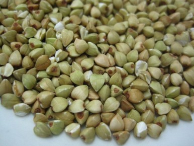 Гречка как секрет плодородной почвы: узнайте все преимущества