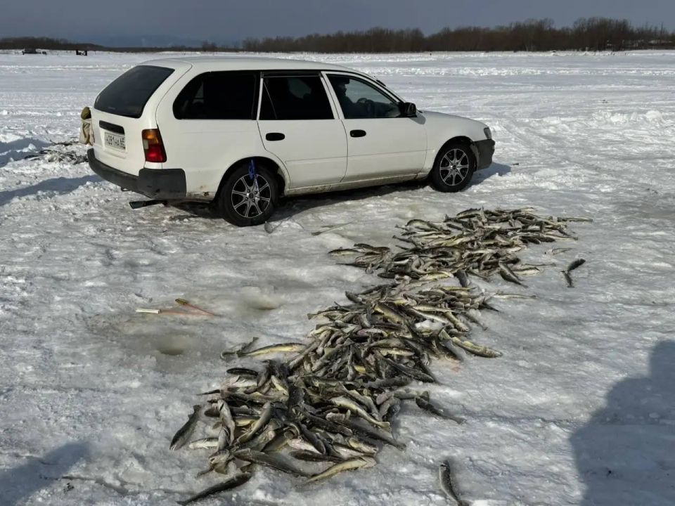 ������� ���� ��� ��������� ������ � ���������� �������� ������ �����