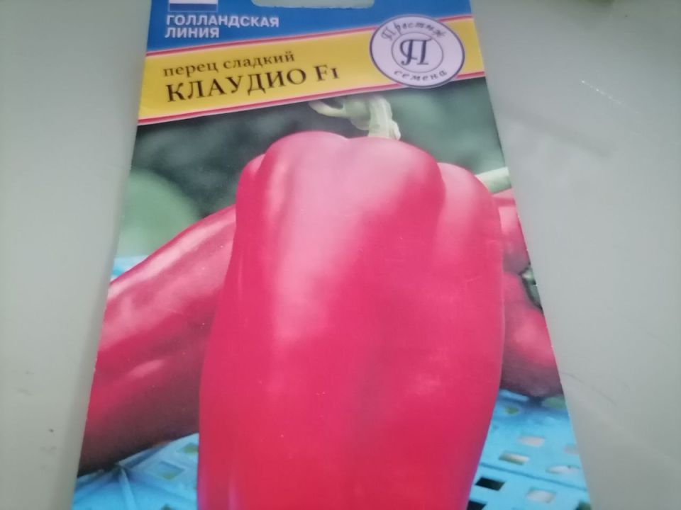 Болгарский перец в открытом грунте Сибири: рейтинг лучших шести сортов
