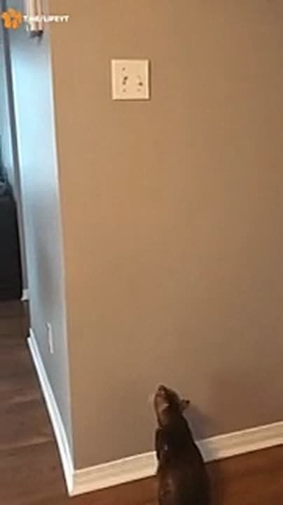 ����������� ���������� ��������, ��� �������� ���� � �������