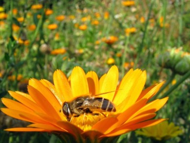 �������� ����� �������: 9 ������ ��� �������� ������������ ����