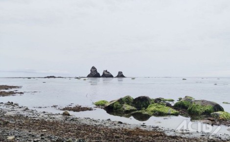 ����������� ���� ��������� �������������-������������ ����� ��������