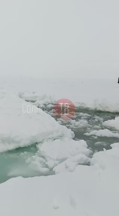 ����� ������������� ����� �������� ��