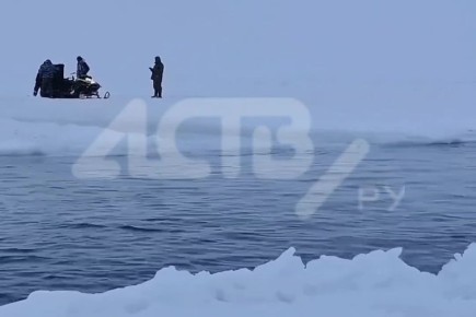 "����� ����� ������������ � �����": ��������� ����������� ����� � ������ �������������