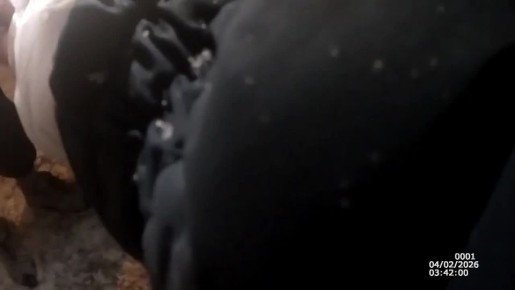 ��������� ����� � ������ � ��������� �������� ���������� ���