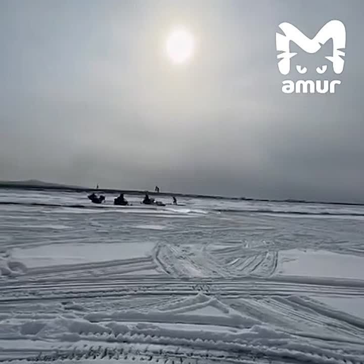 ������ �� ���������� ������������� ������������ ������� ������� �� ��������