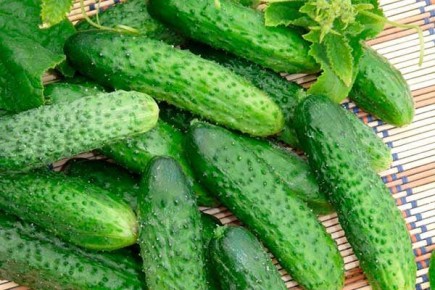 ��� ����� ������ ������ � ��� ��� ��������� ����������?