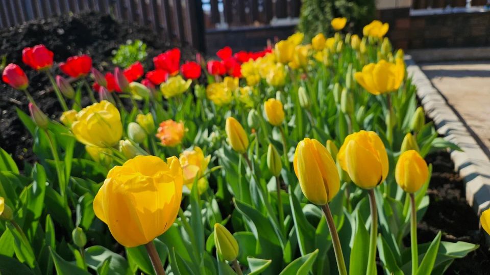 ��� �� ������� ������� �������� ��������� ��-������