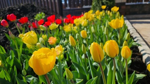 ��� �� ������� ������� �������� ��������� ��-������