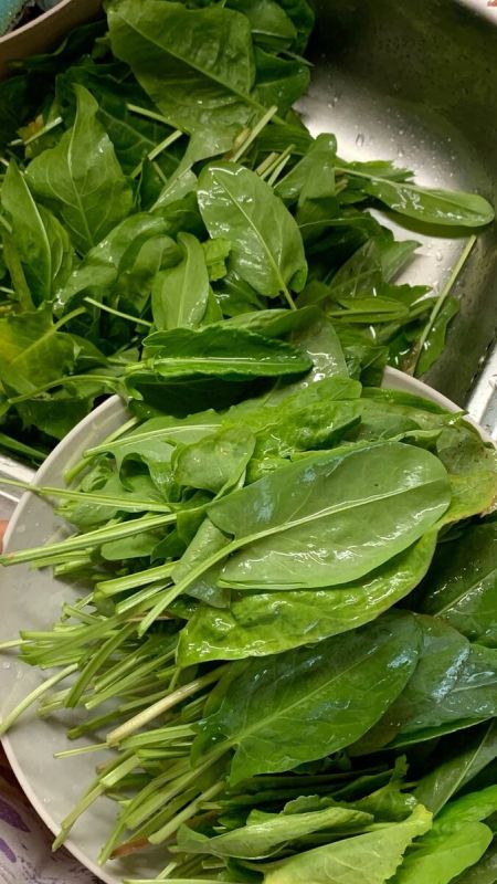 Что может навредить вашей поджелудочной: 5 неожиданных продуктов