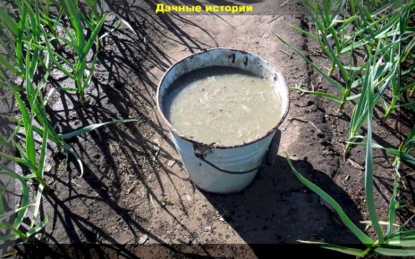 ��� ����������� ������ � ��������� ������: ������ ������ ��� �����������