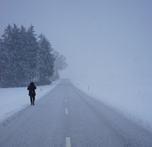 ��-�� ��������� ������ � 11:00 ���������� �������� ������������� ���������� �� ���������� ������������� � ��������