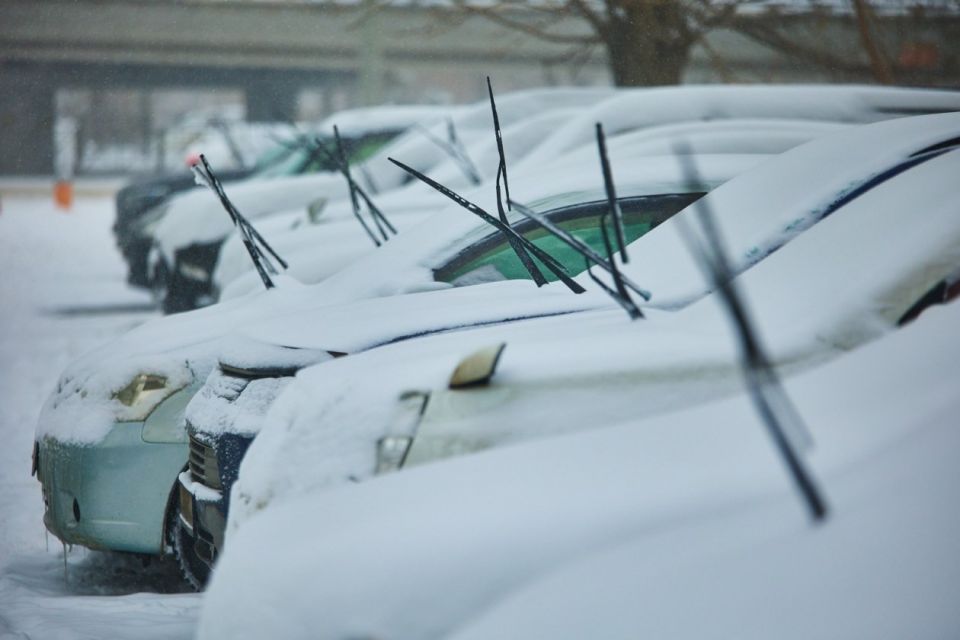 ��������� ������� ������ ������� ��������� ���� ������ ��������� �� ��������������� ��������