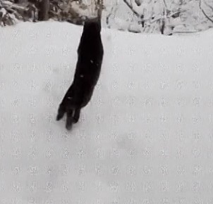 ��������� �������� �������? ����� ��� ����, ��� ��� �� ���� ������� �����?