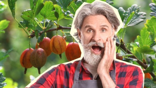 ��� ������ ���������� ��� �������: ������ ��������� ��� ������� �����