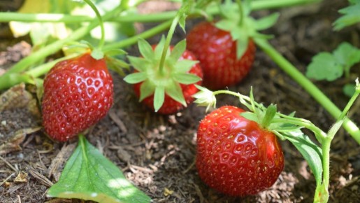 � ������� ���������� ��� �� ������� � ���������: ��������� ����� ���� �� ����������