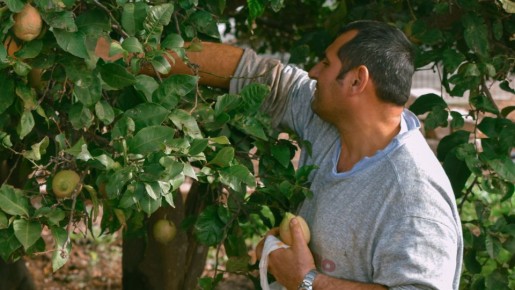 ��� ������� �������� ������: ������� ����������� �������� �� ������