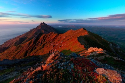 ����������� �������� �������������� ������ ������� � ����������