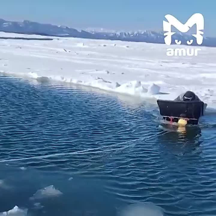 ������ �� ����� �� ���� ��������� � ������������ ������ �� ��������