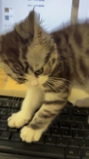 ������ ����. �������� 9 ������� ��������� ����� ������� �������, ����, ϸ�� ��� ��. �������� �������� ����� ����, ����� ��� ��������