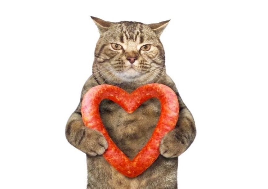 ��������: ������� � �������� ����, ���������� ��������� �������