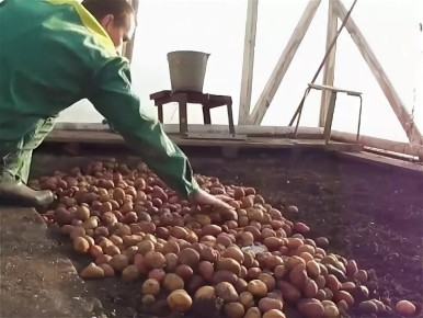 ������ ���� � �����,� ������ ��� �������� �������� - � ����