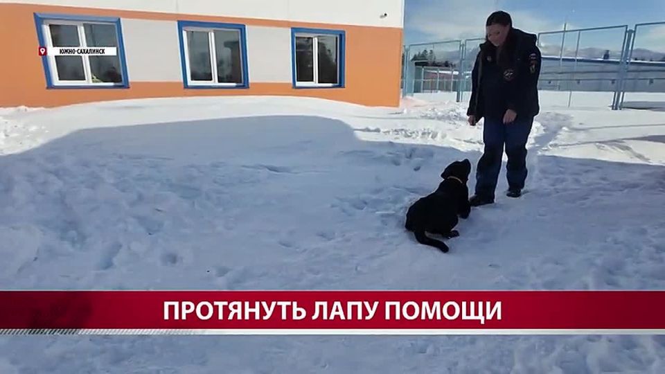 ����������� ��������� ���������, ��� ������� ������ ������ ��������