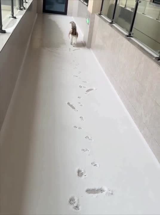 ������ ���� . �������� 10-�� ������� ��������� ����� ������� ��������, �������, �����, ������� ��� ������