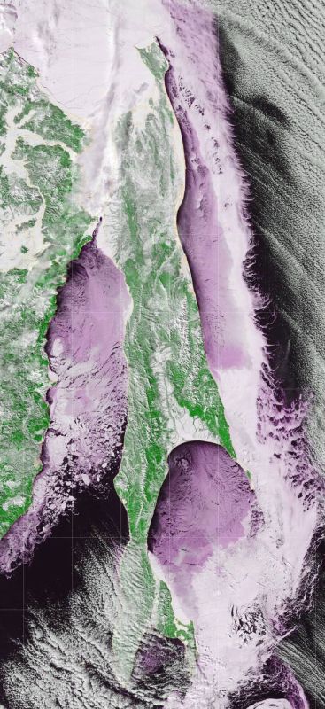 ������� � ���� � ������������� �������� �� ����������� �������