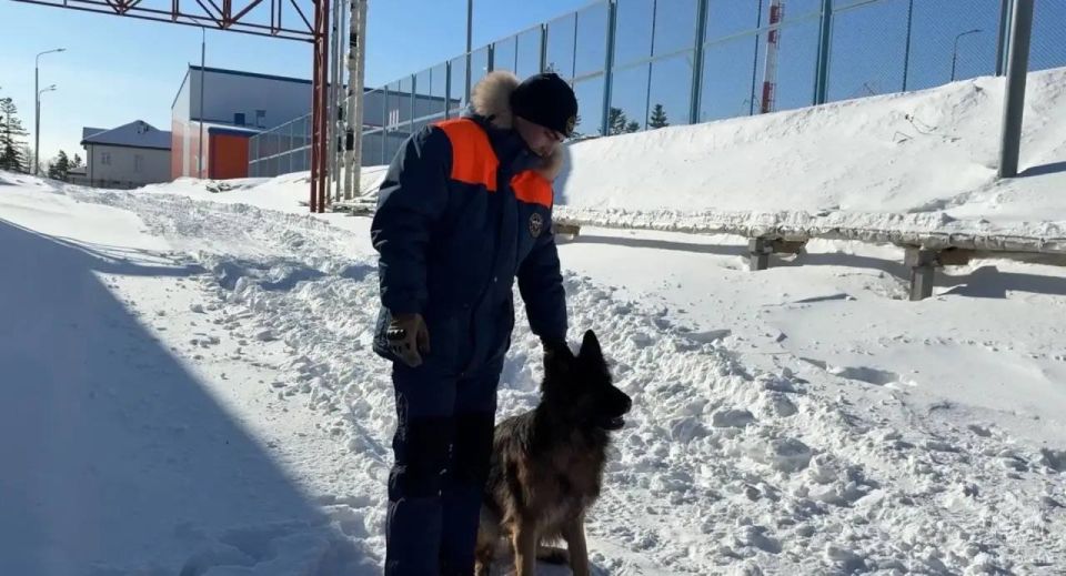 ��������� ��������� ����������� ��������� ������� � ��������